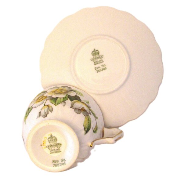 Vintage 2 Dimisional Aynsley Bone China teacup graced with english white & yell - Picture 10 of 12